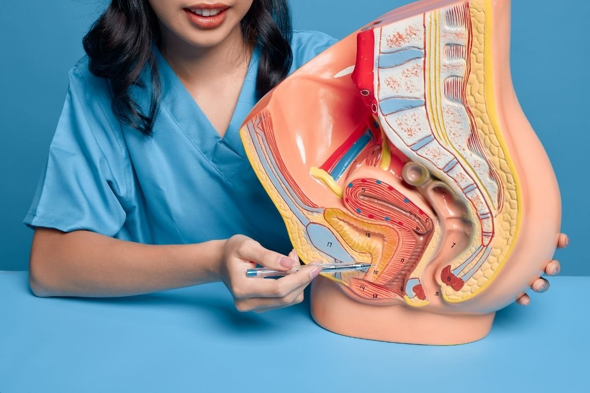 fistula-urogenital